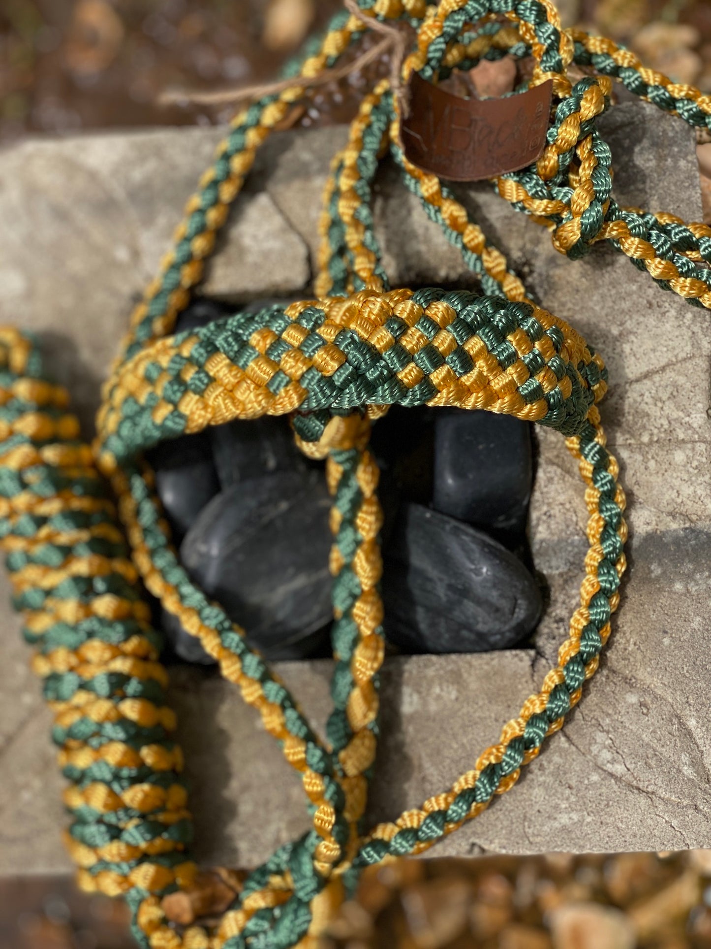 Two Color MuleTape Halter + Lead