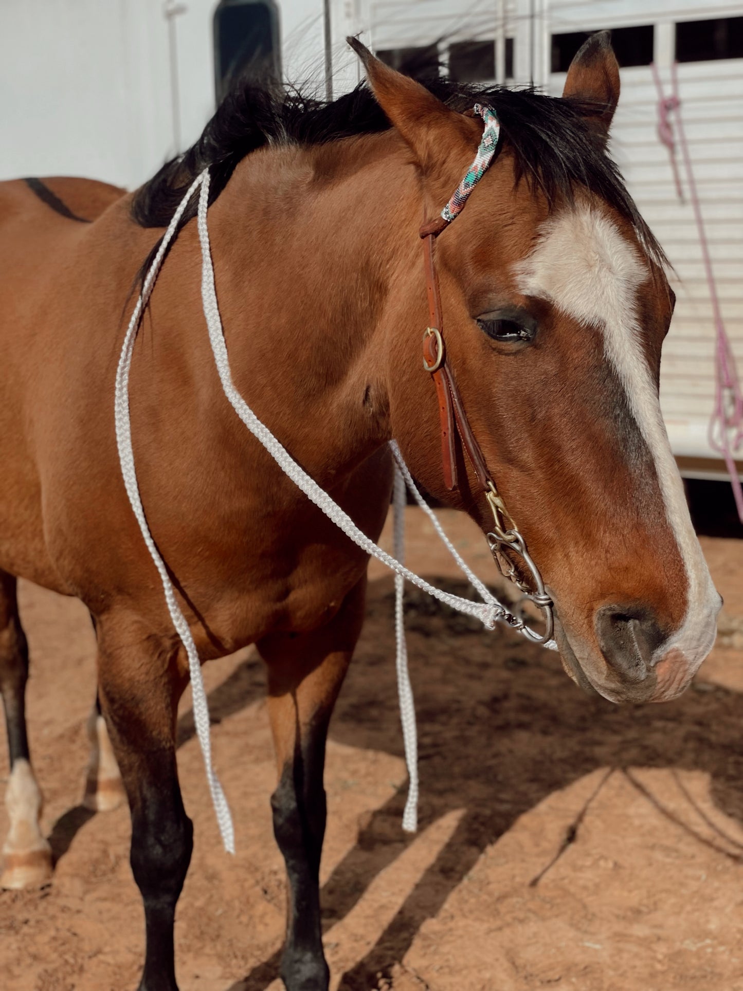 Muletape Split Reins