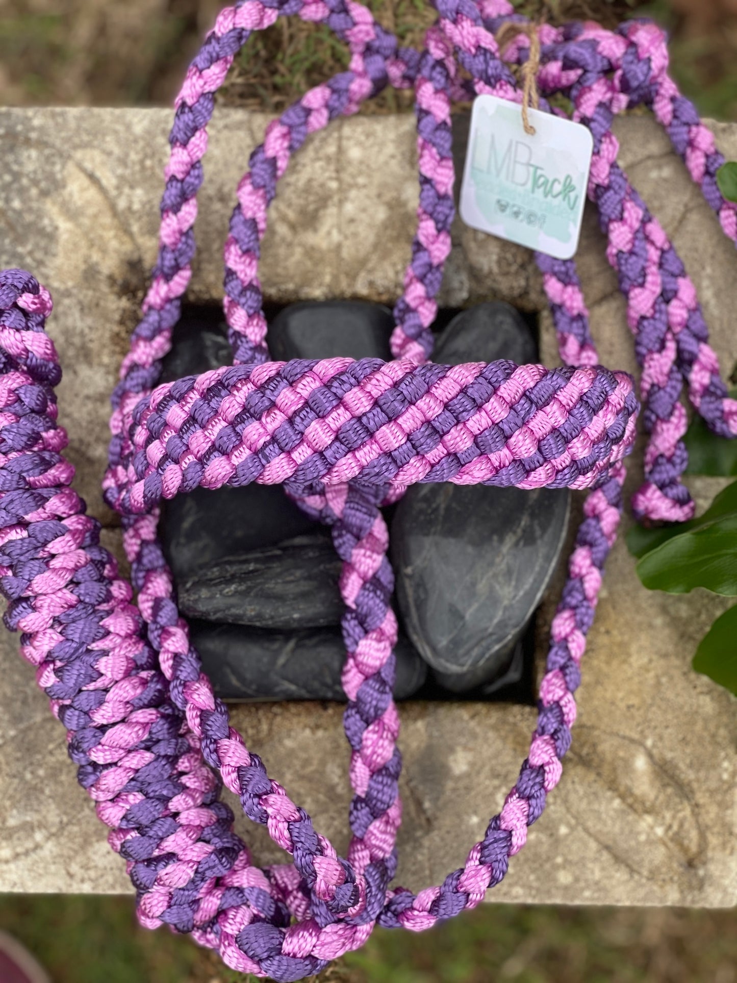 Two Color MuleTape Halter + Lead