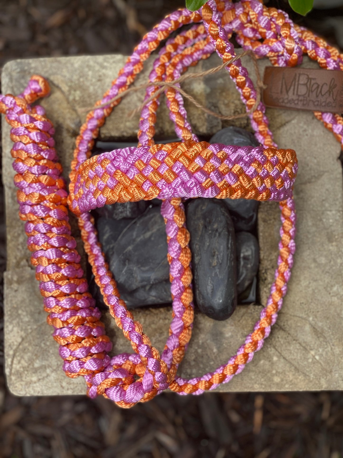 Two Color MuleTape Halter + Lead