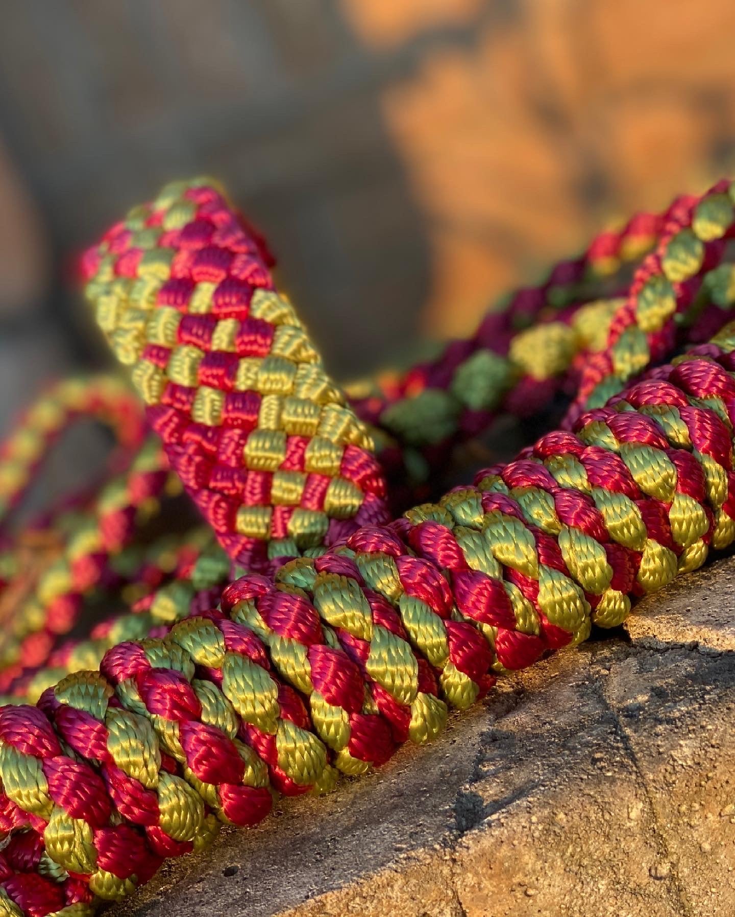 Two Color MuleTape Halter + Lead