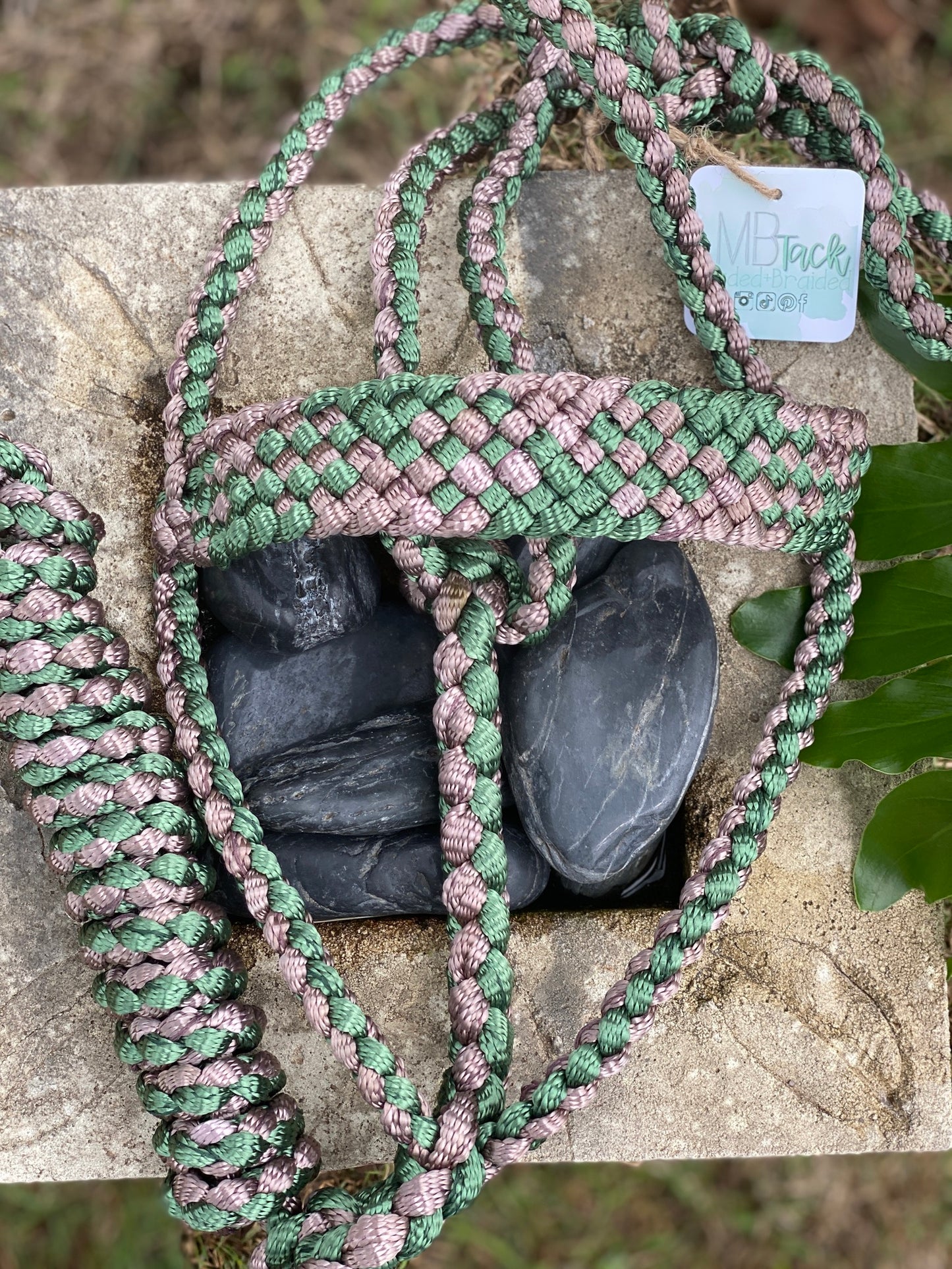 Two Color MuleTape Halter + Lead