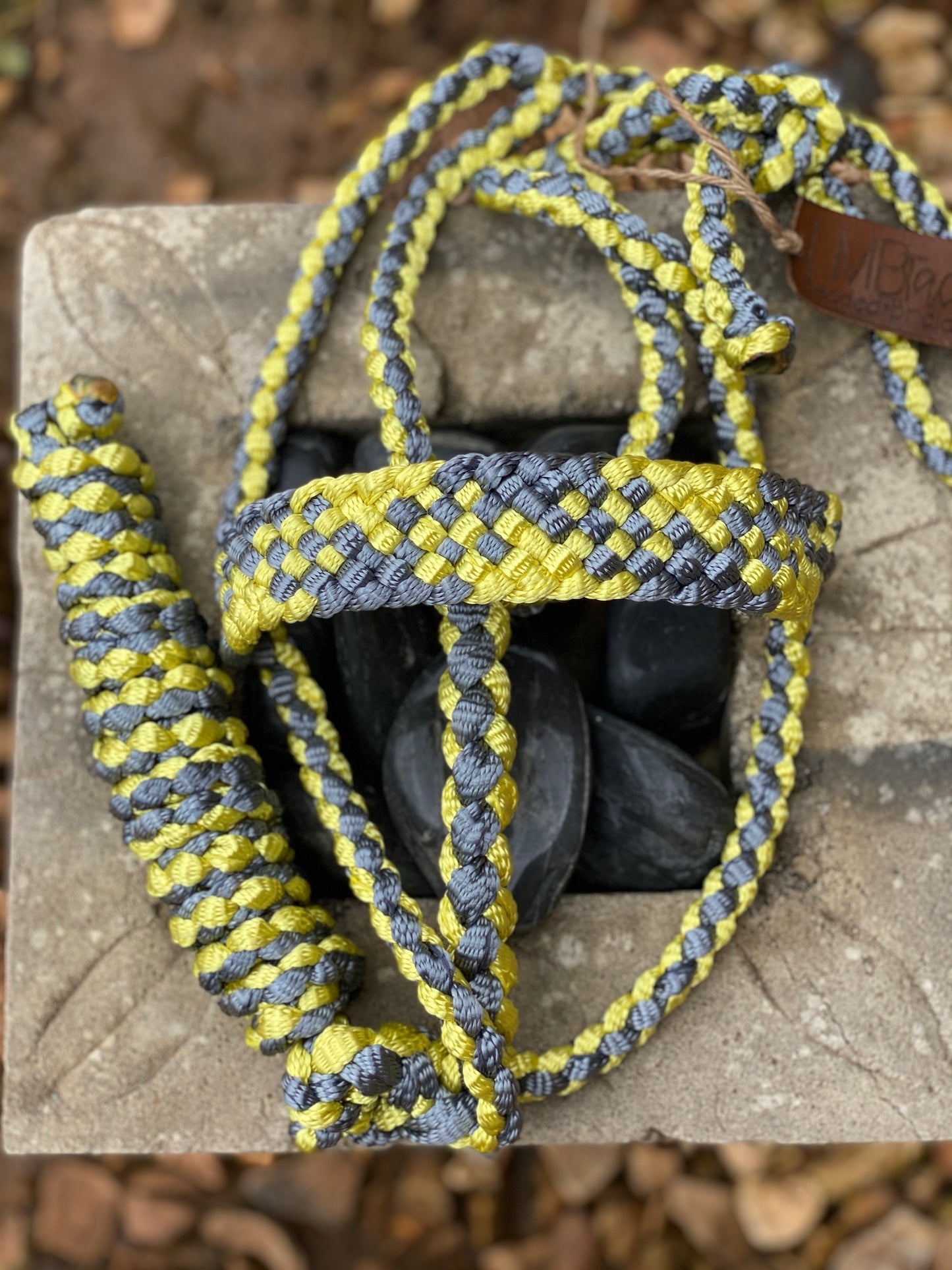 Two Color MuleTape Halter + Lead