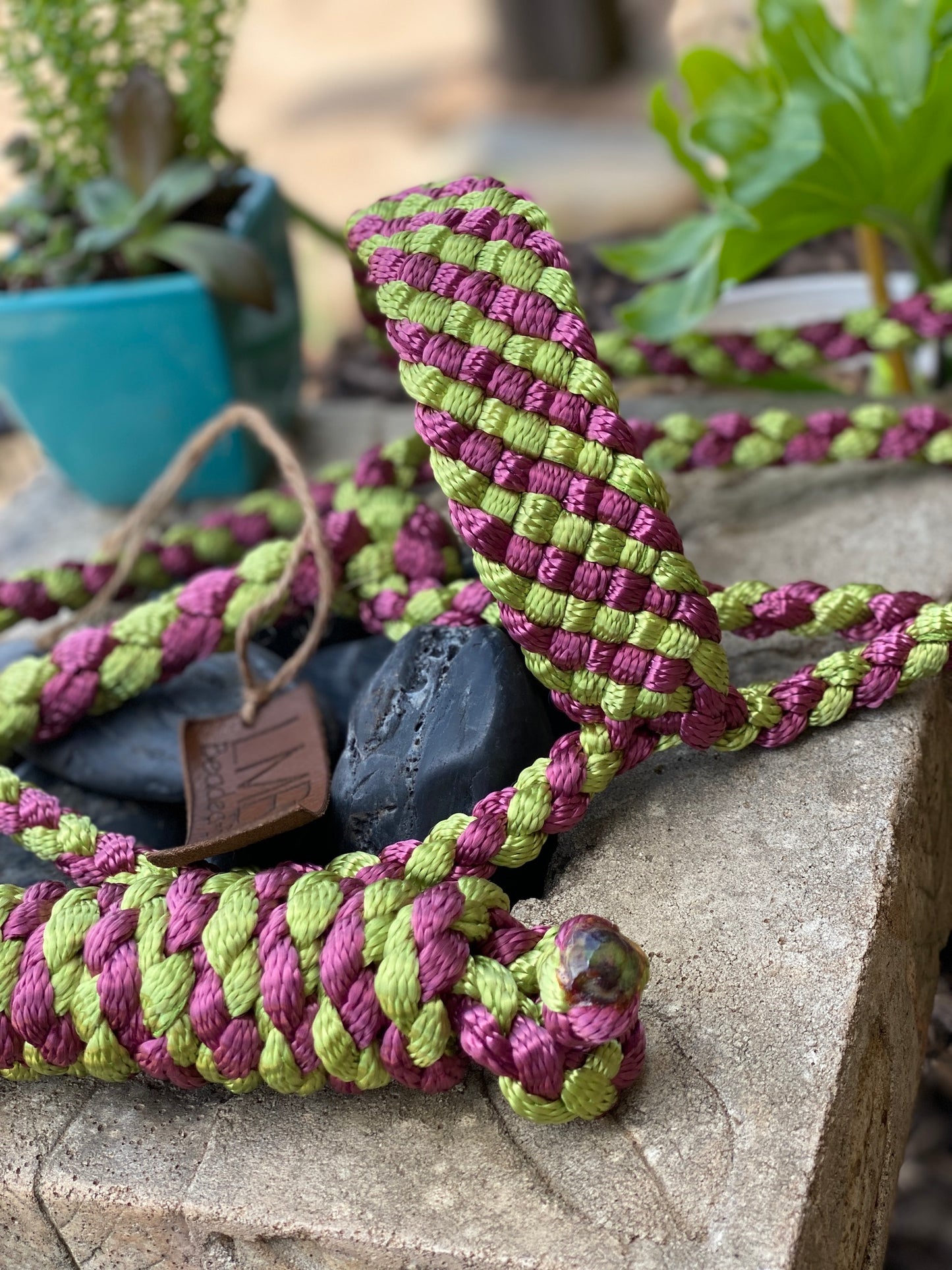Two Color MuleTape Halter + Lead
