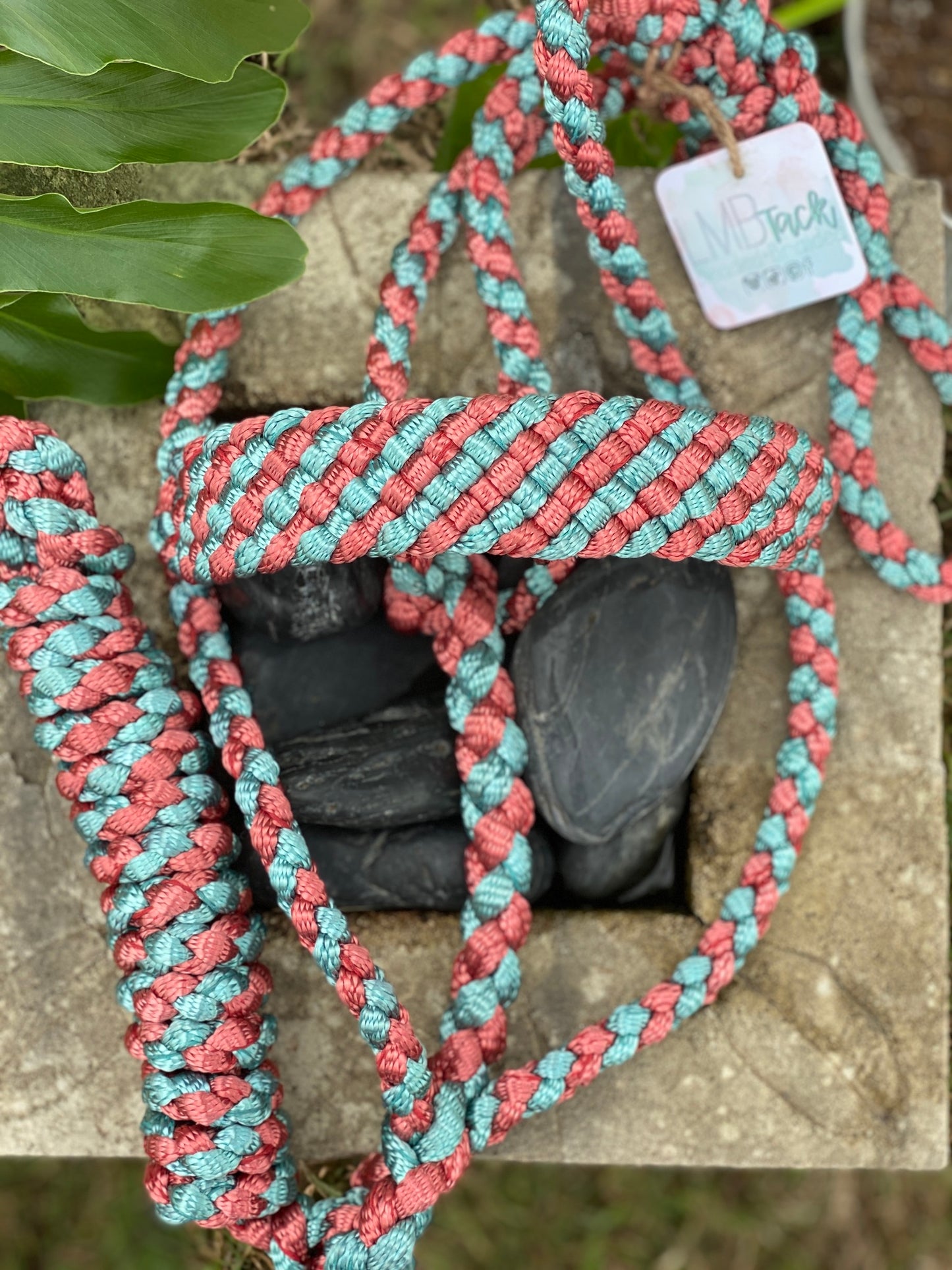 Two Color MuleTape Halter + Lead