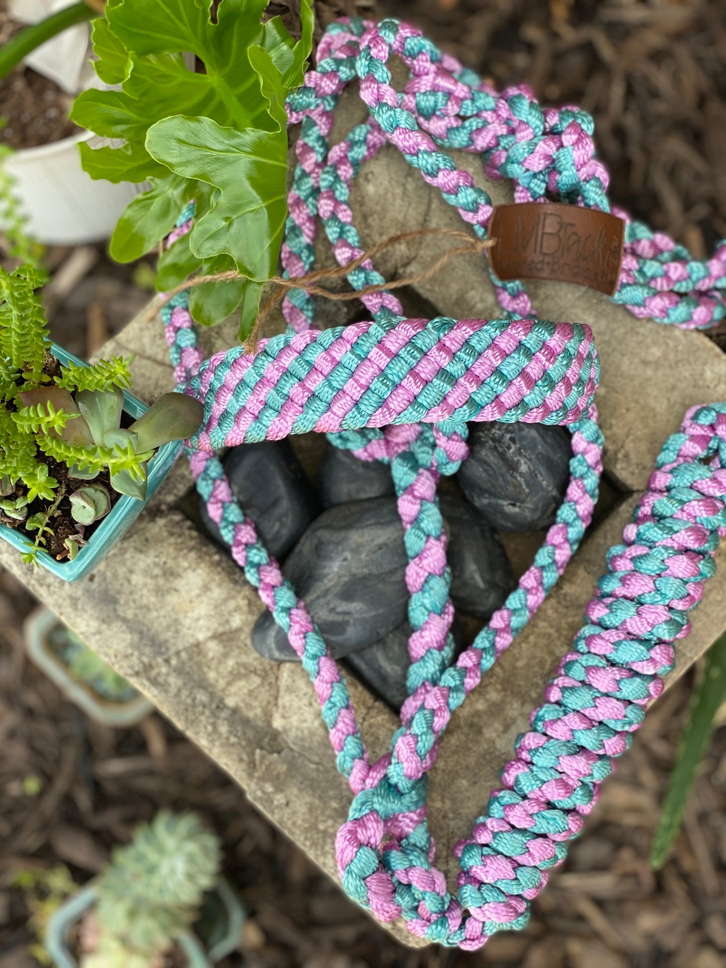 Two Color MuleTape Halter + Lead