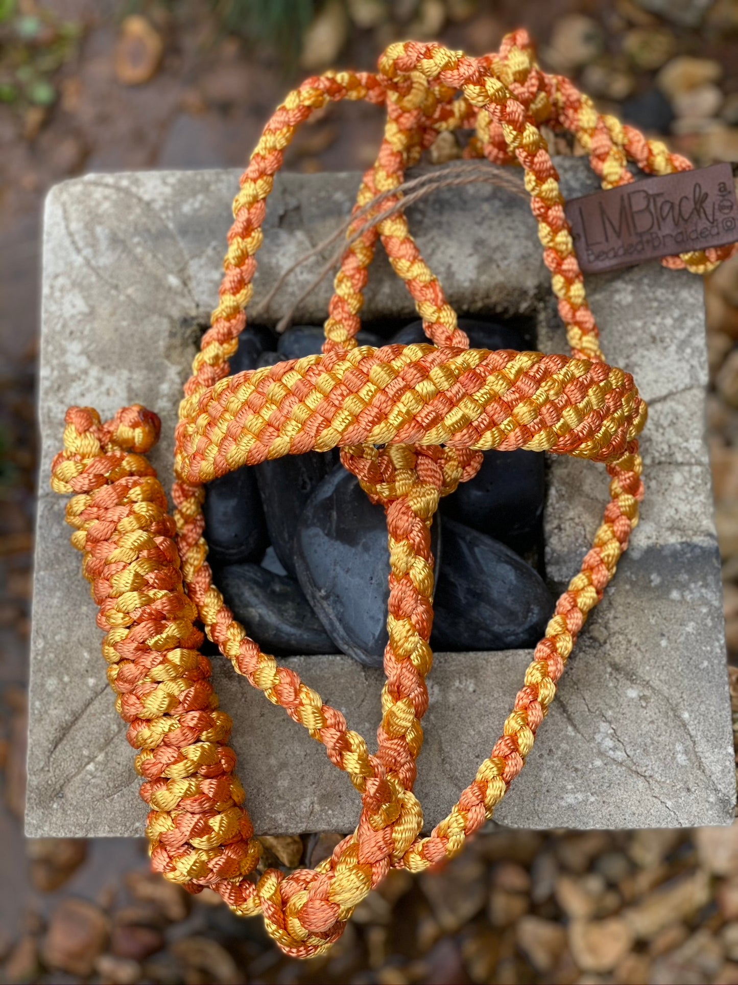 Two Color MuleTape Halter + Lead