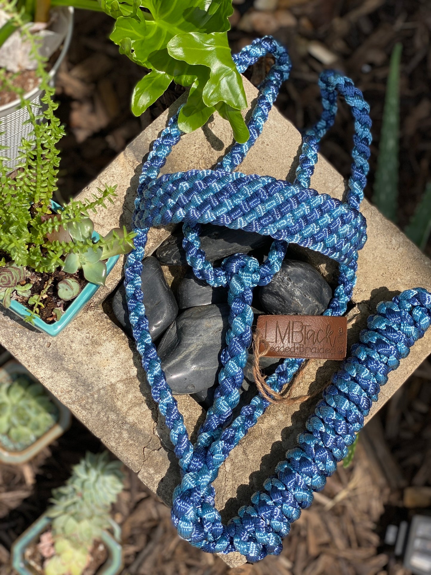 Two Color MuleTape Halter + Lead