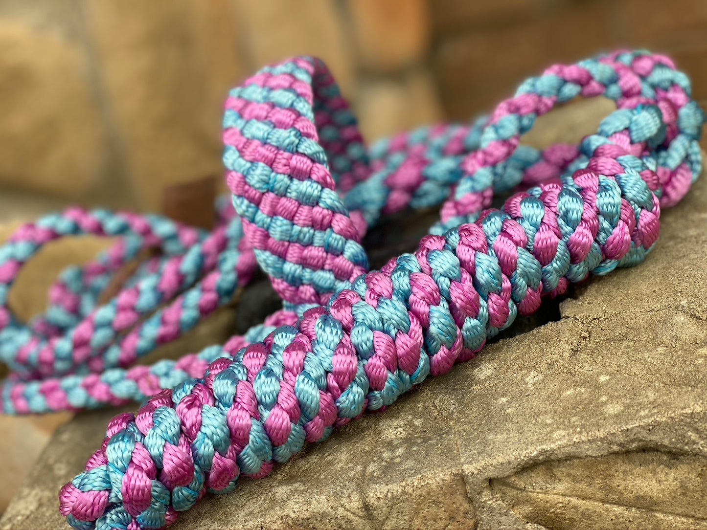 Two Color MuleTape Halter + Lead