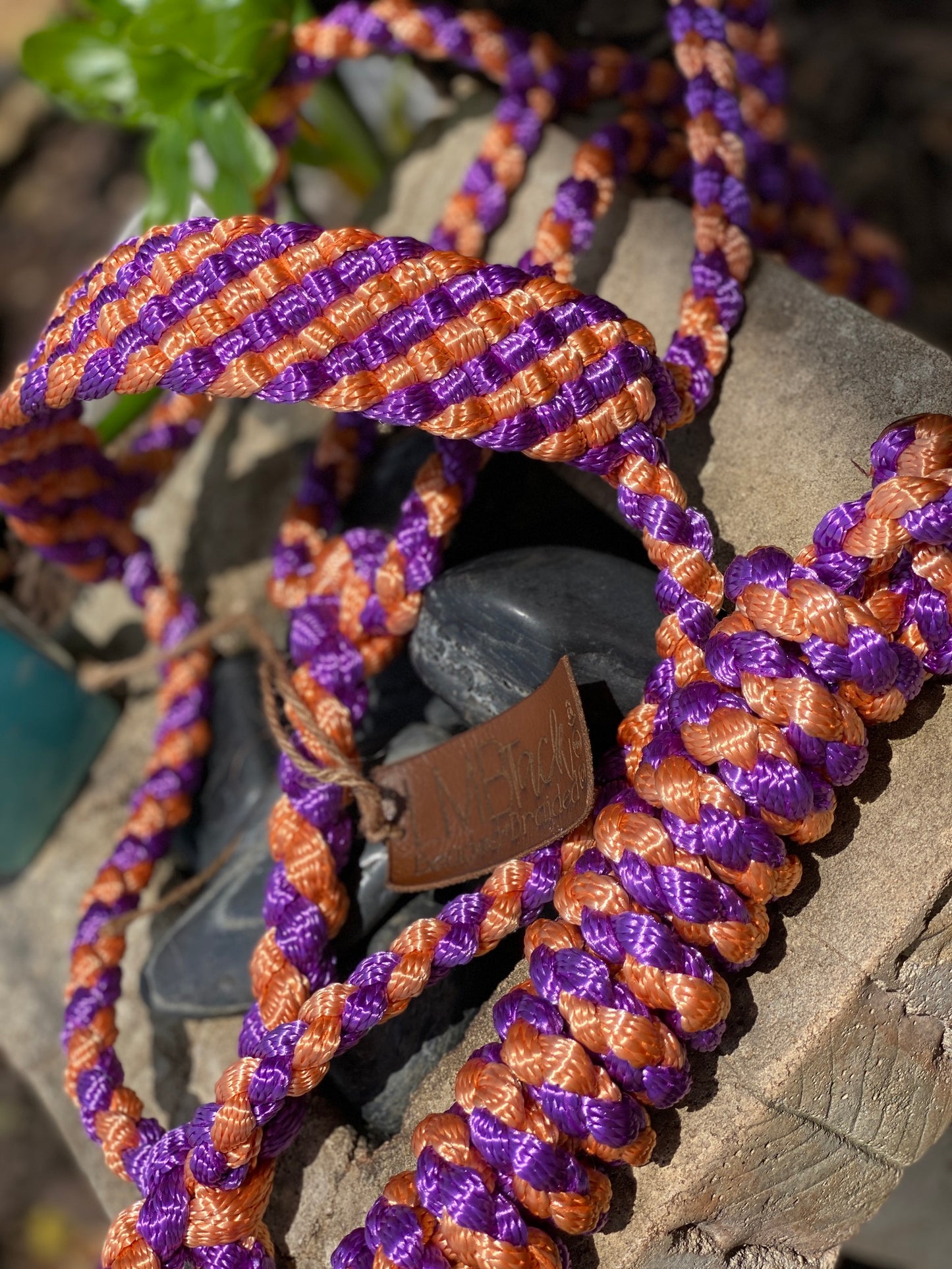 Two Color MuleTape Halter + Lead