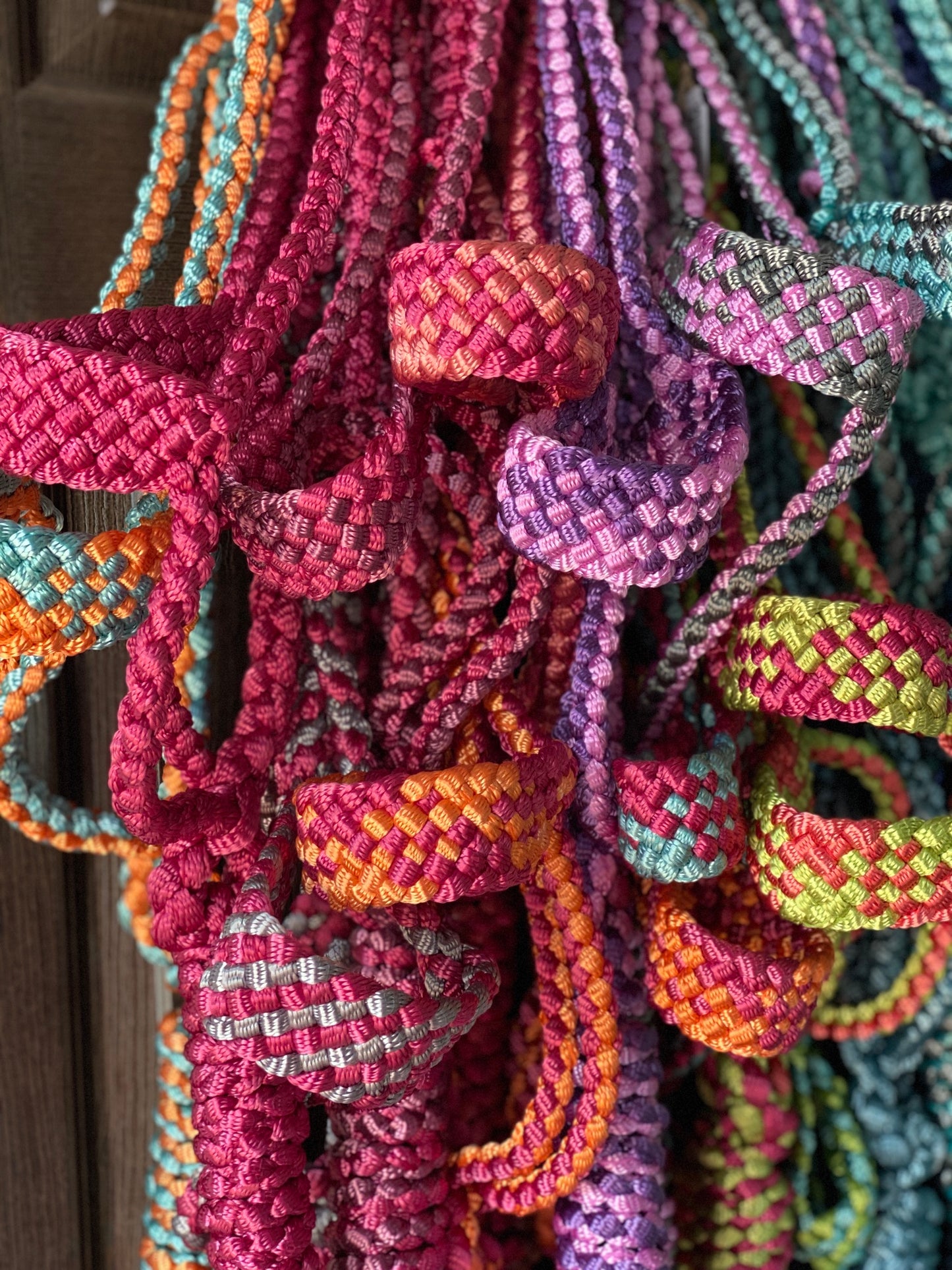 Two Color MuleTape Halter + Lead