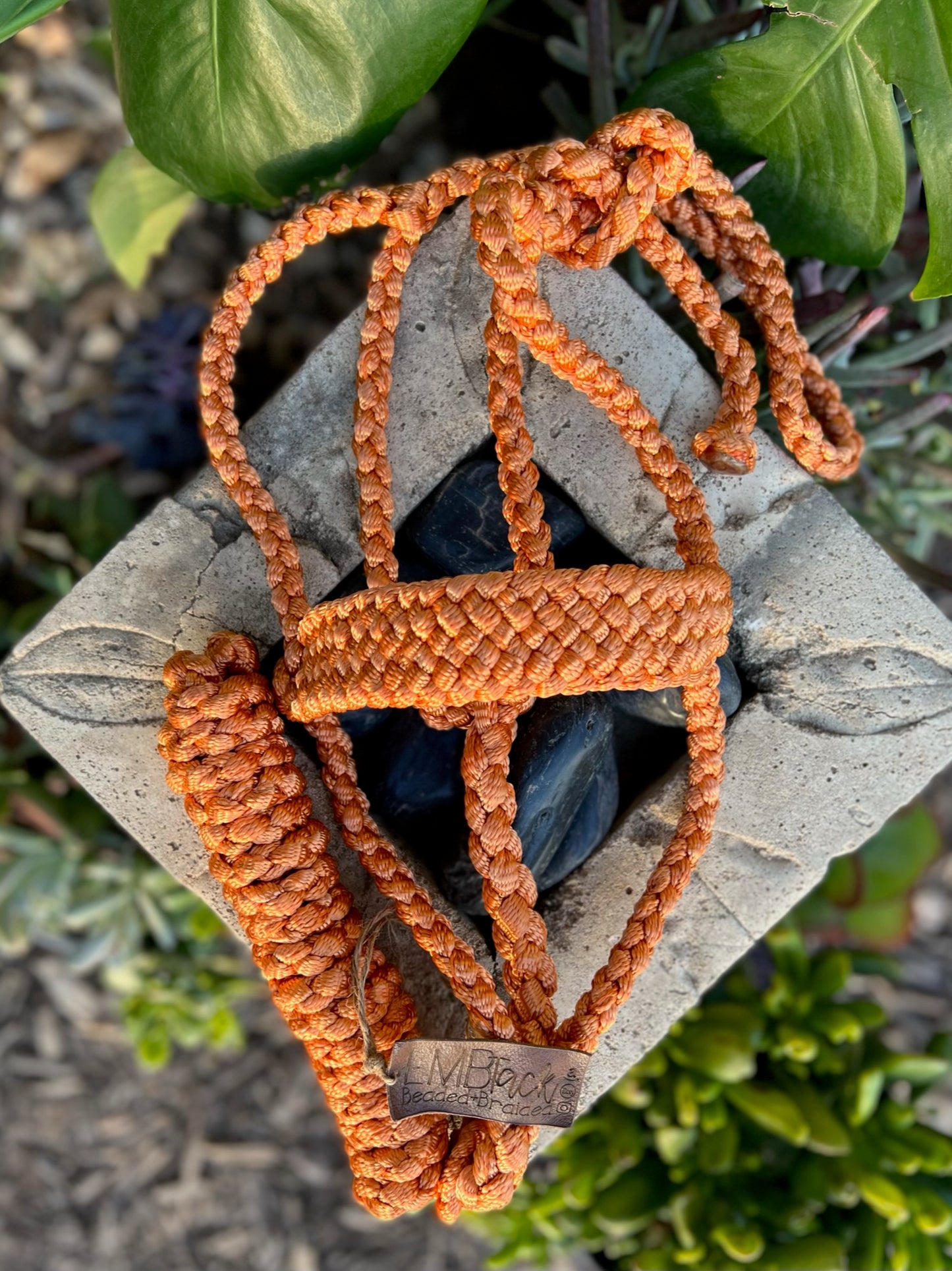 One Color MuleTape Halter + Lead