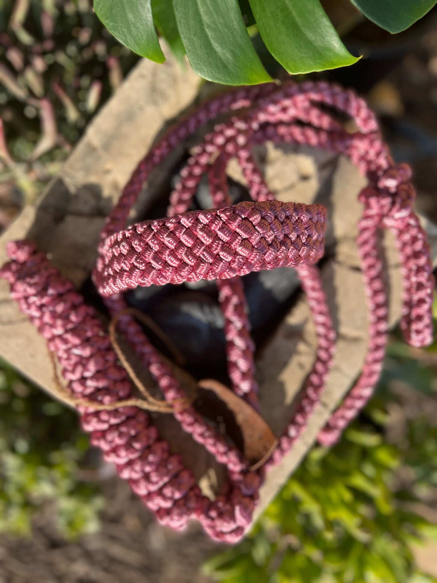 One Color MuleTape Halter + Lead