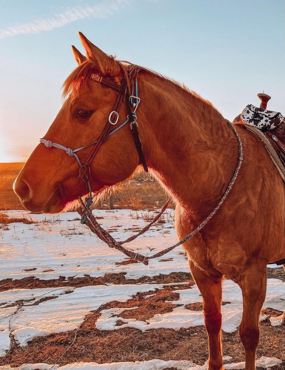 MuleTape Barrel Reins