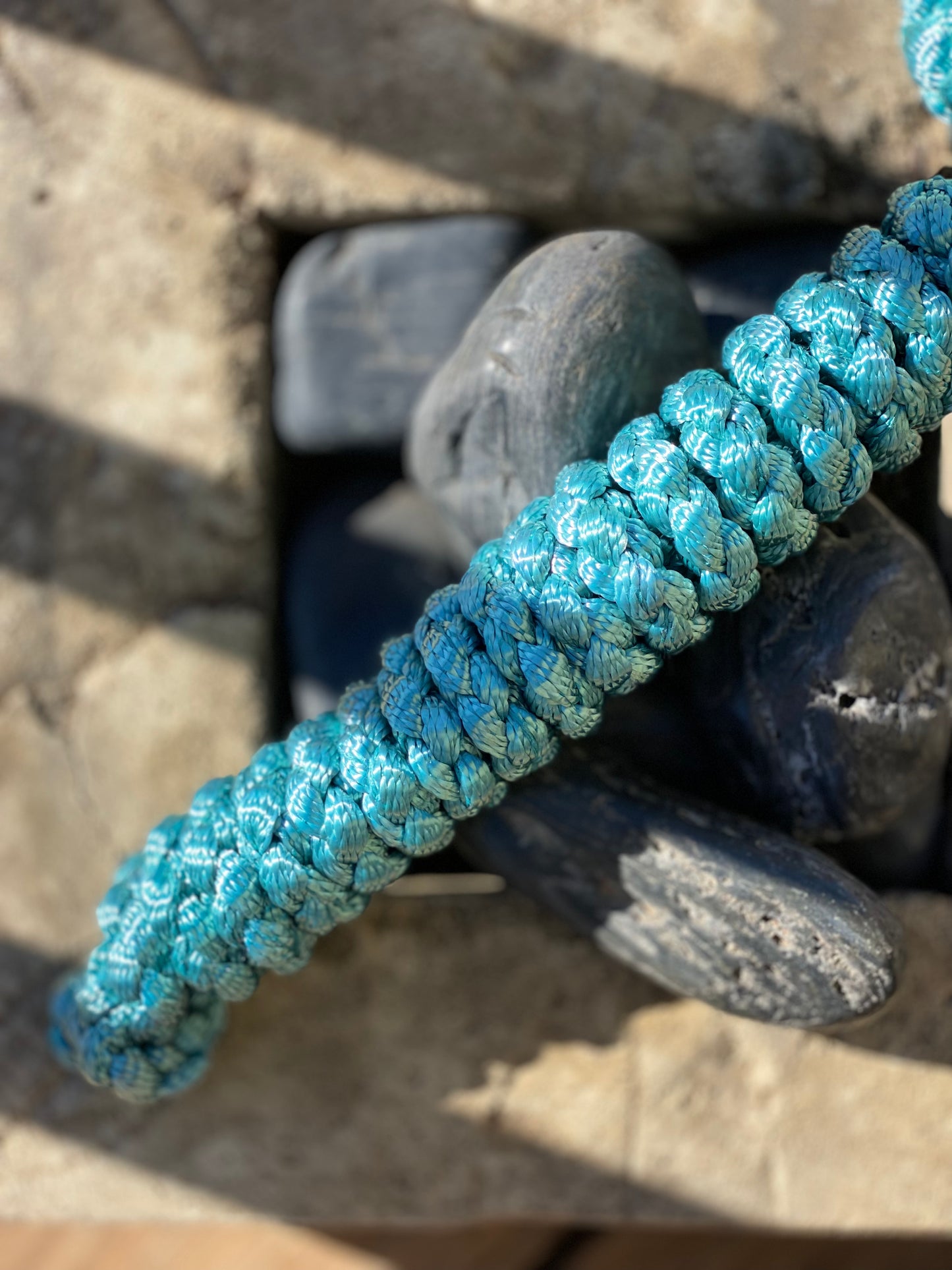 Just A Lead Rope!