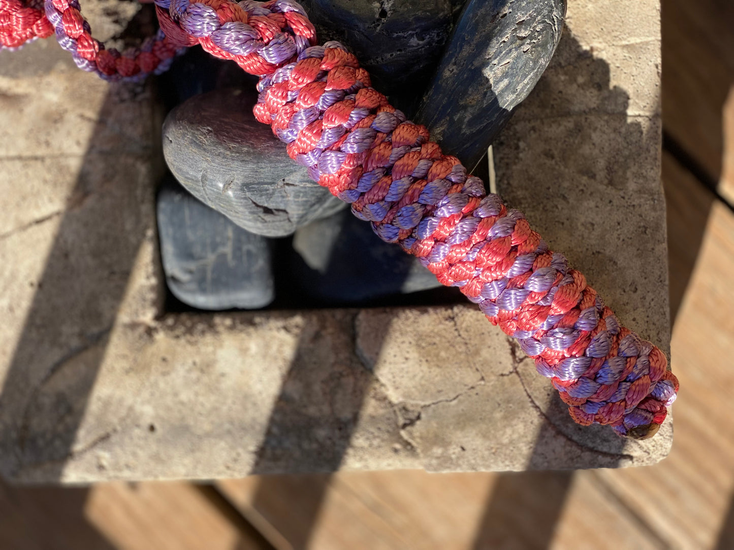 Just A Lead Rope!