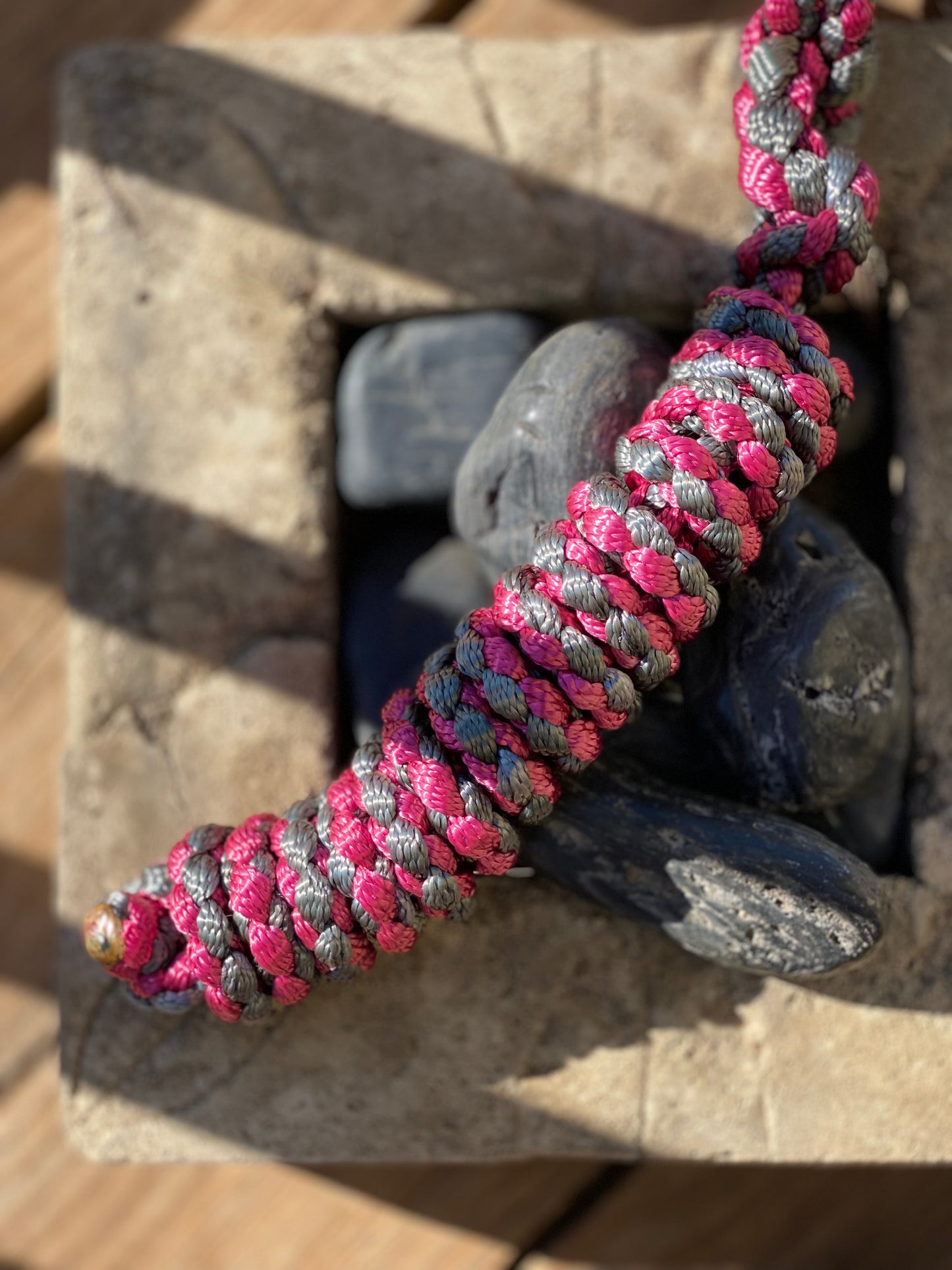 Just A Lead Rope!