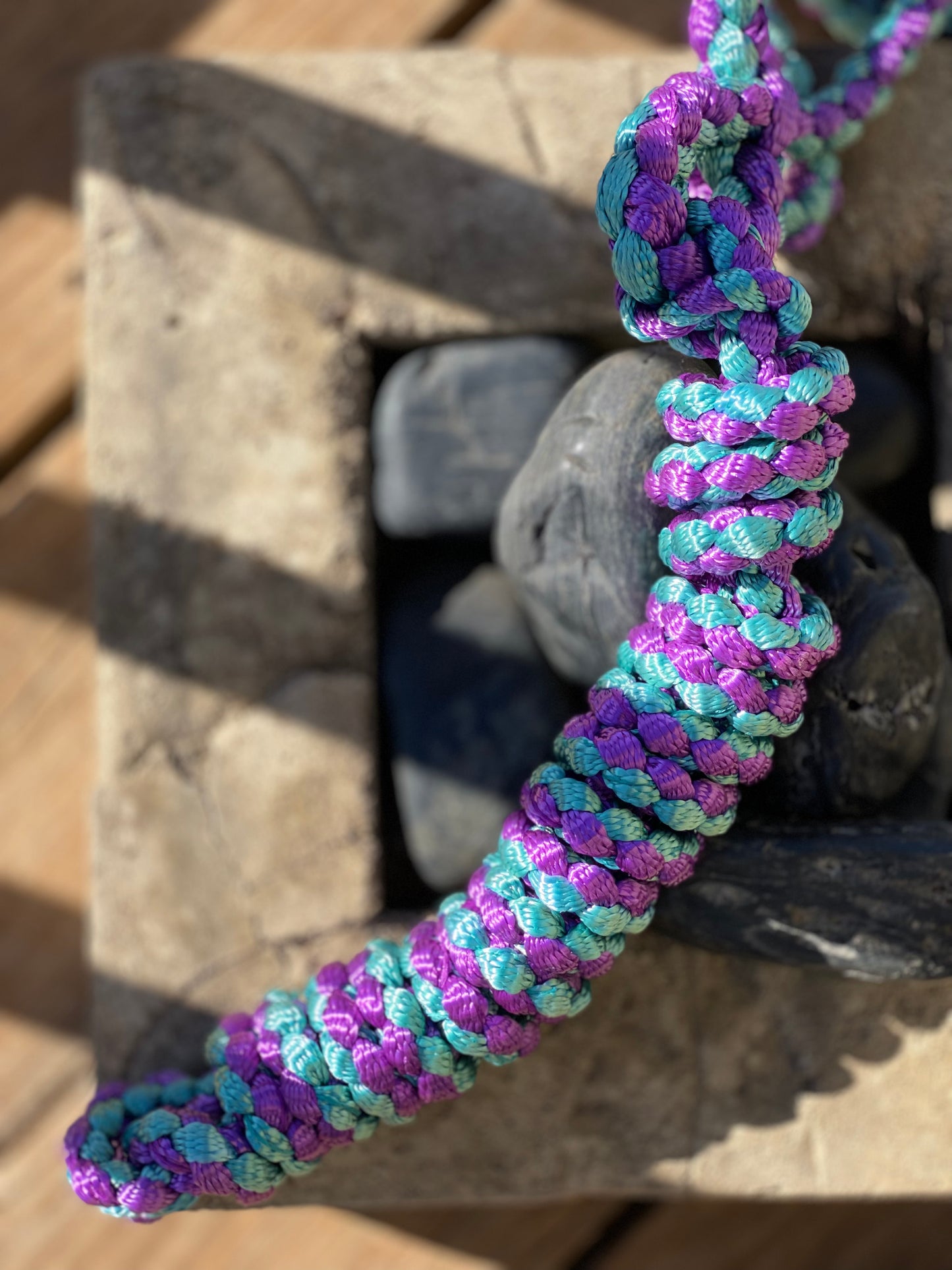 Just A Lead Rope!