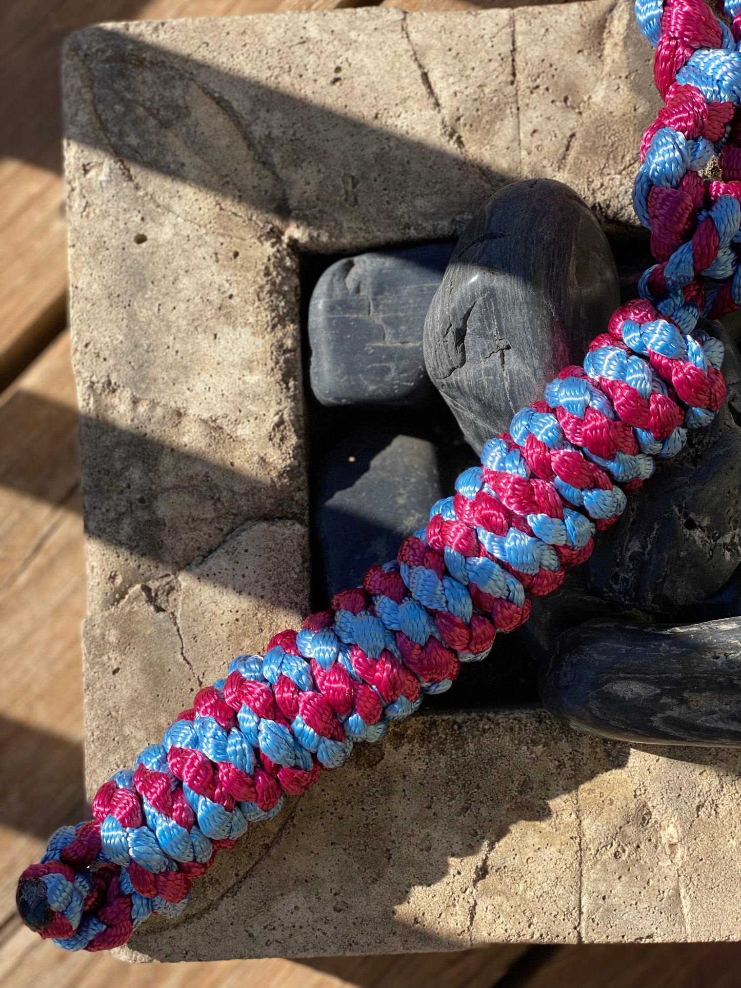 Just A Lead Rope!