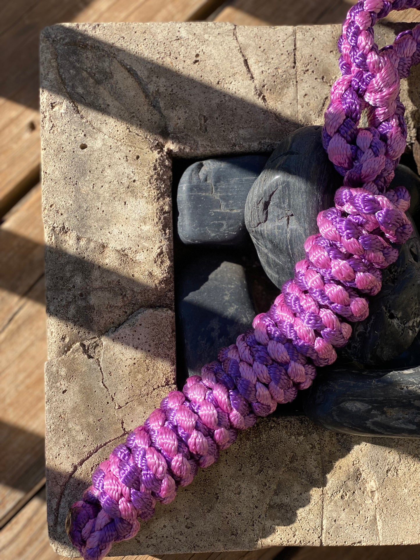 Just A Lead Rope!
