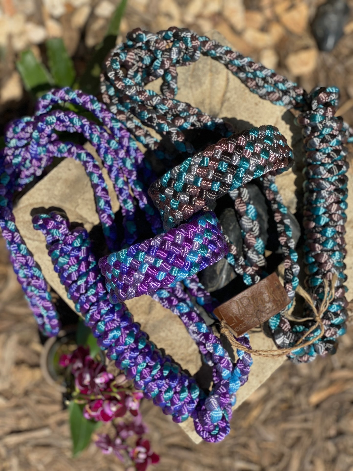 Four Color MuleTape Halter + Lead
