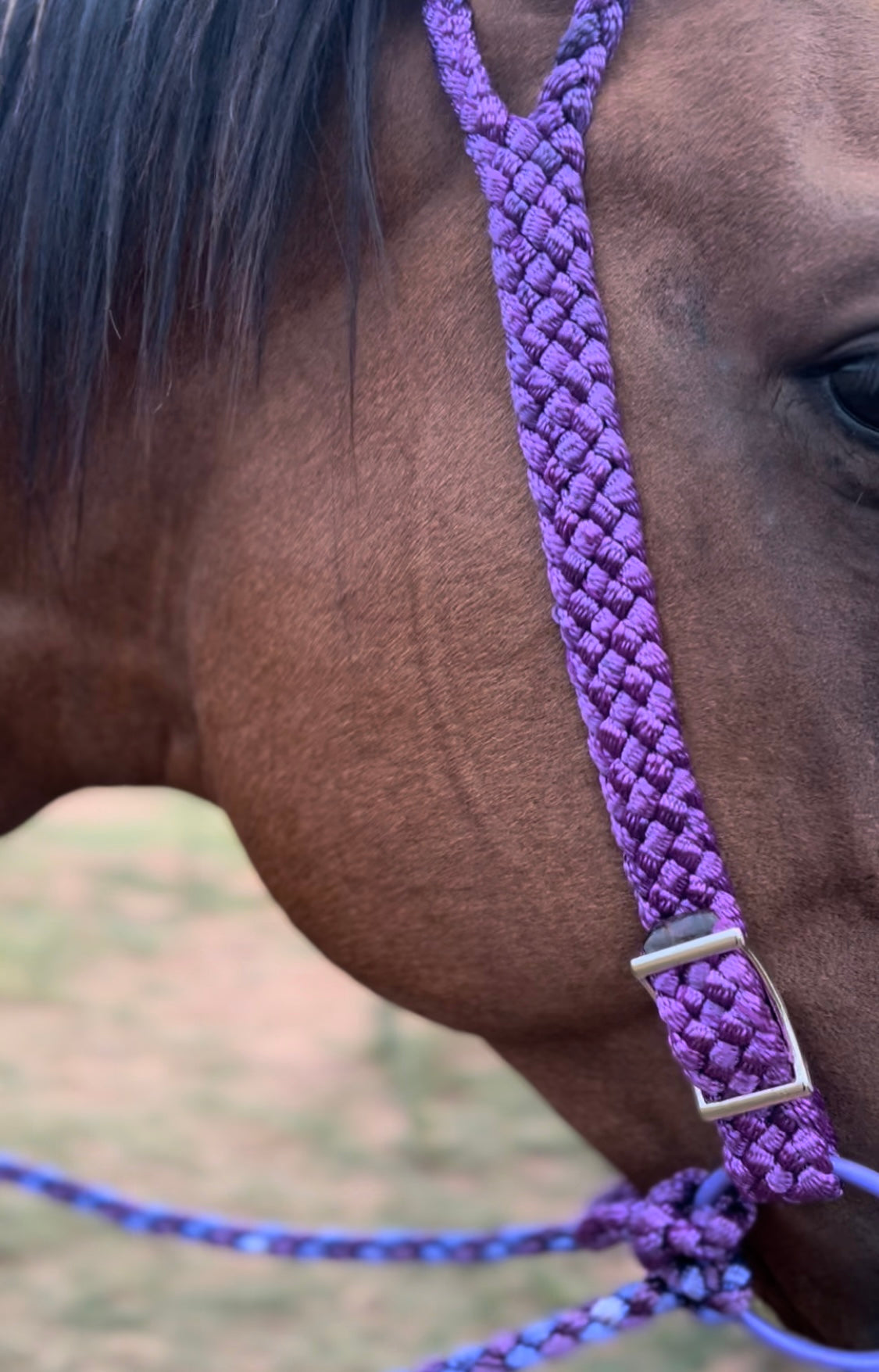Quick Change Split Ear Muletape Headstall