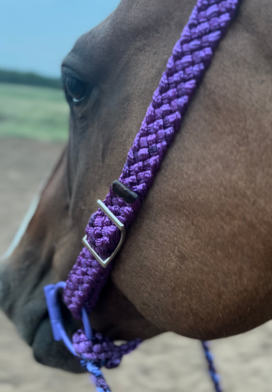 Quick Change Split Ear Muletape Headstall