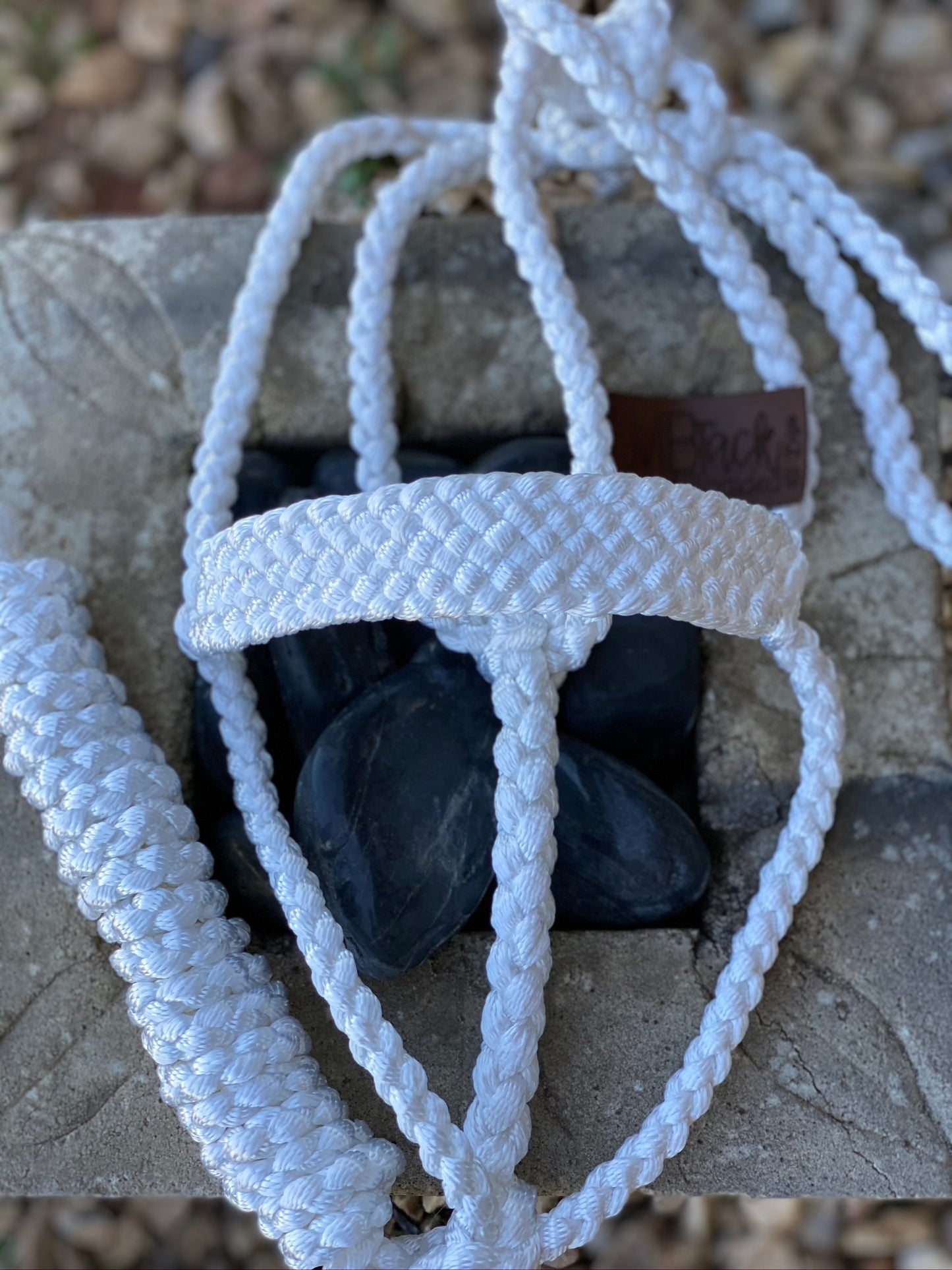 One Color MuleTape Halter + Lead