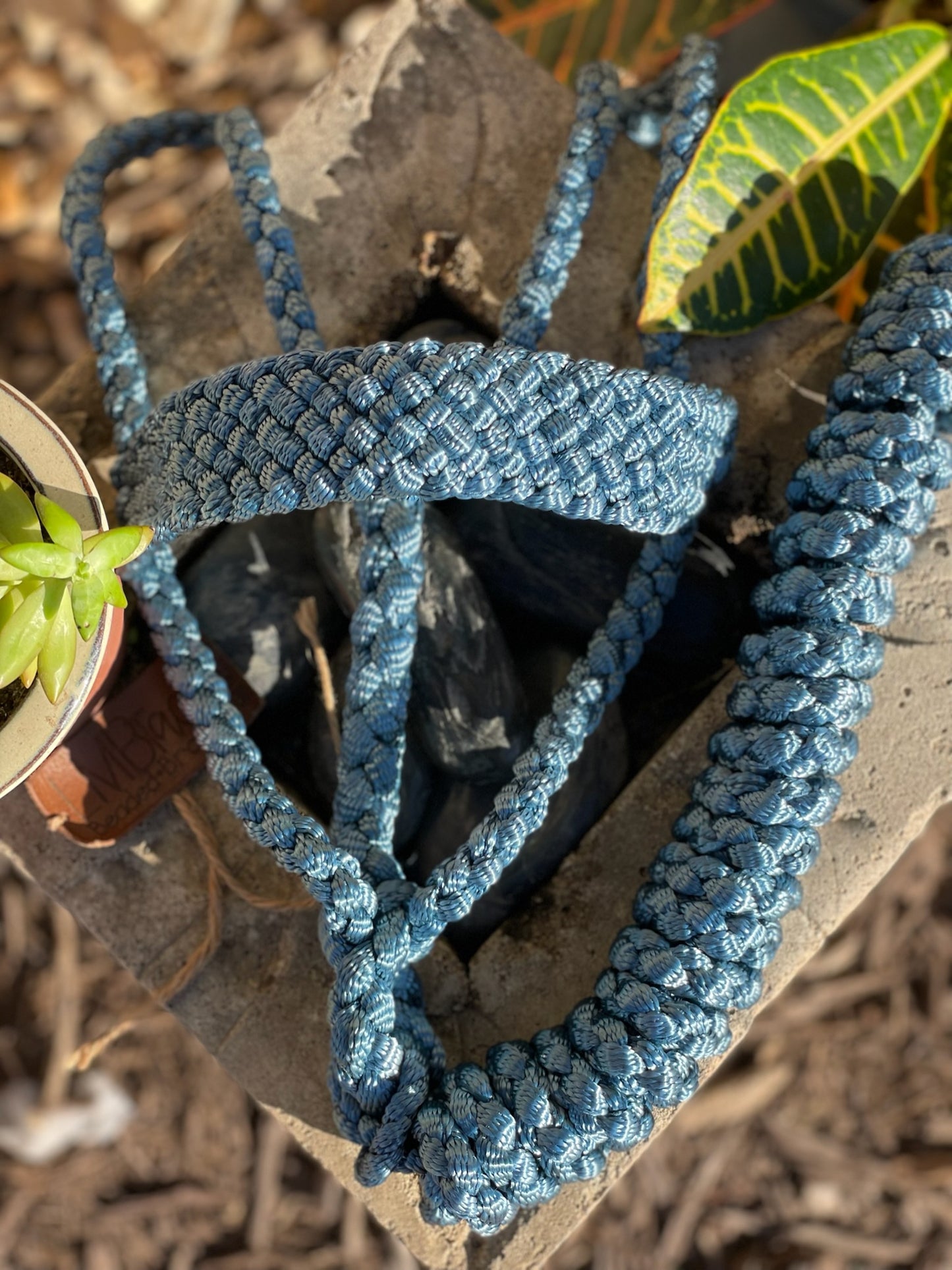 One Color MuleTape Halter + Lead