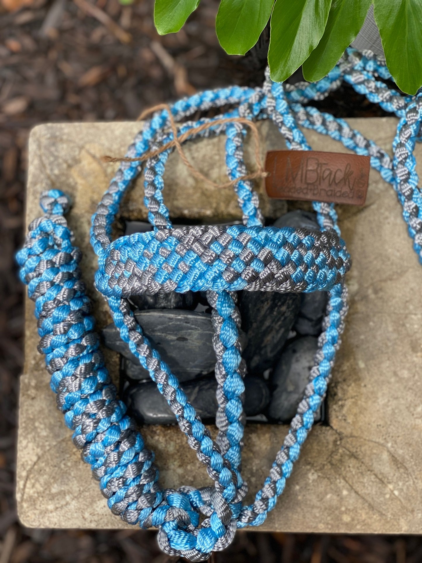 Aqua/Gunmetal MuleTape Halter + Lead