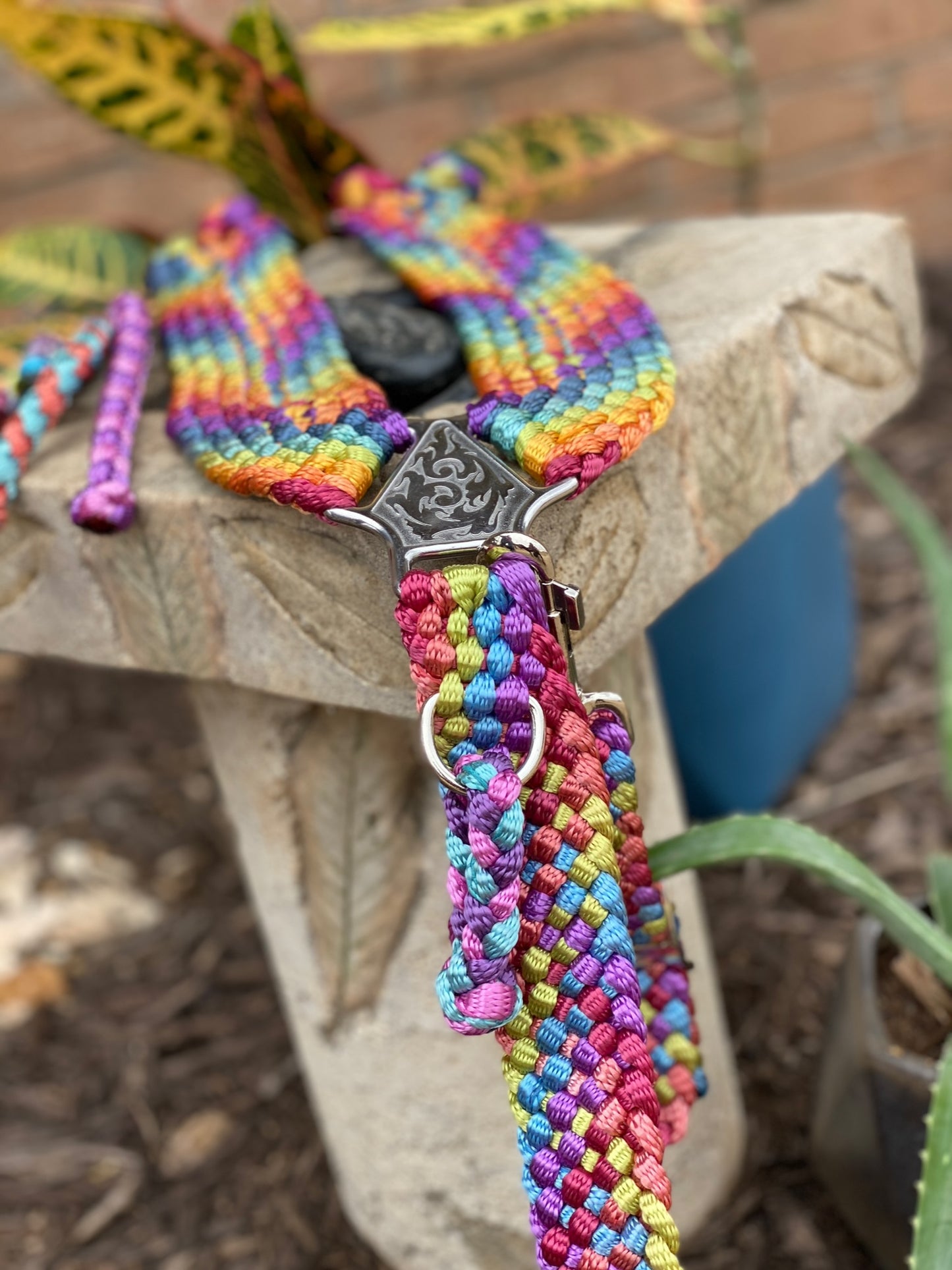 Rainbow Breast Collar