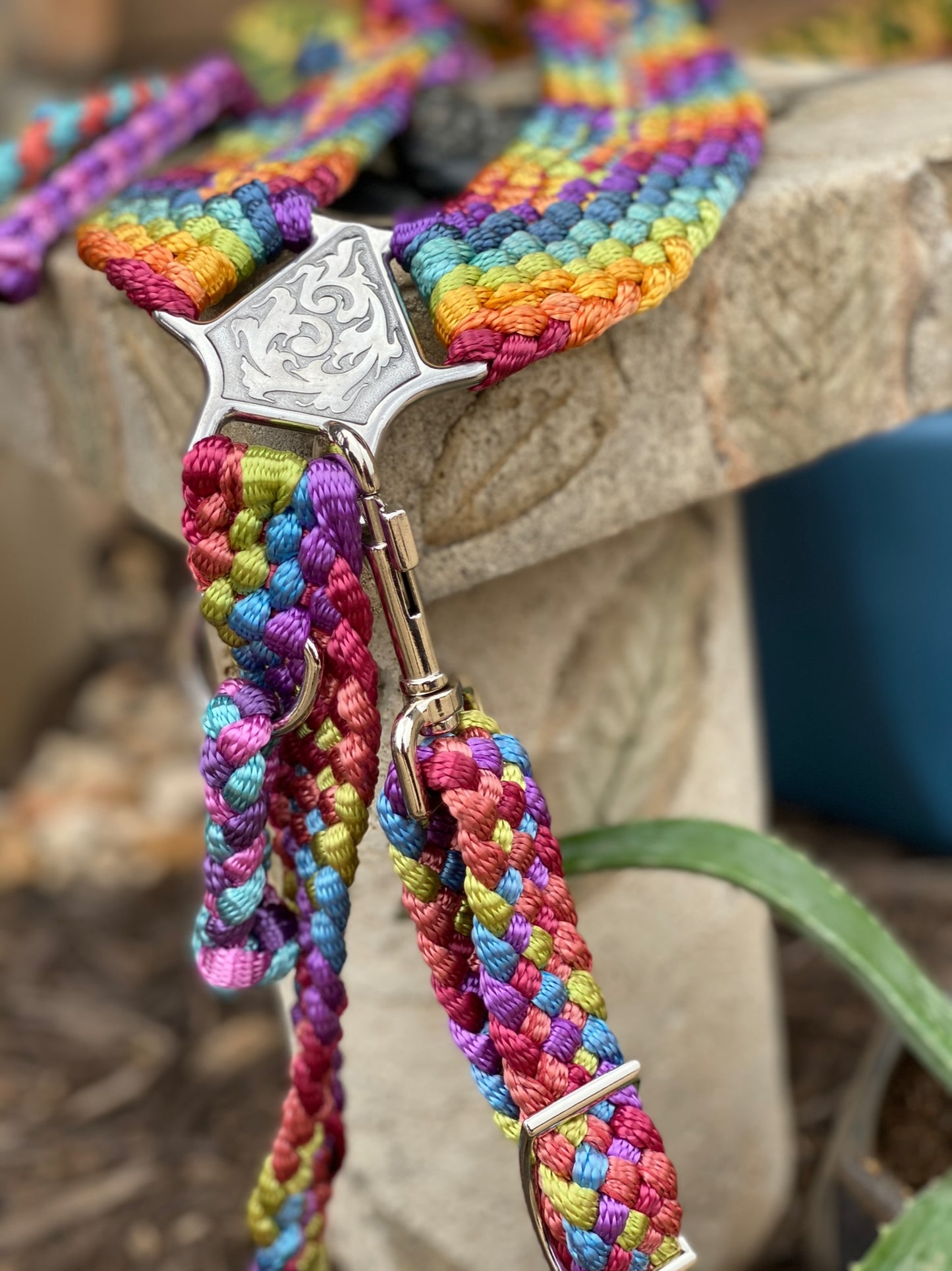 Rainbow Breast Collar