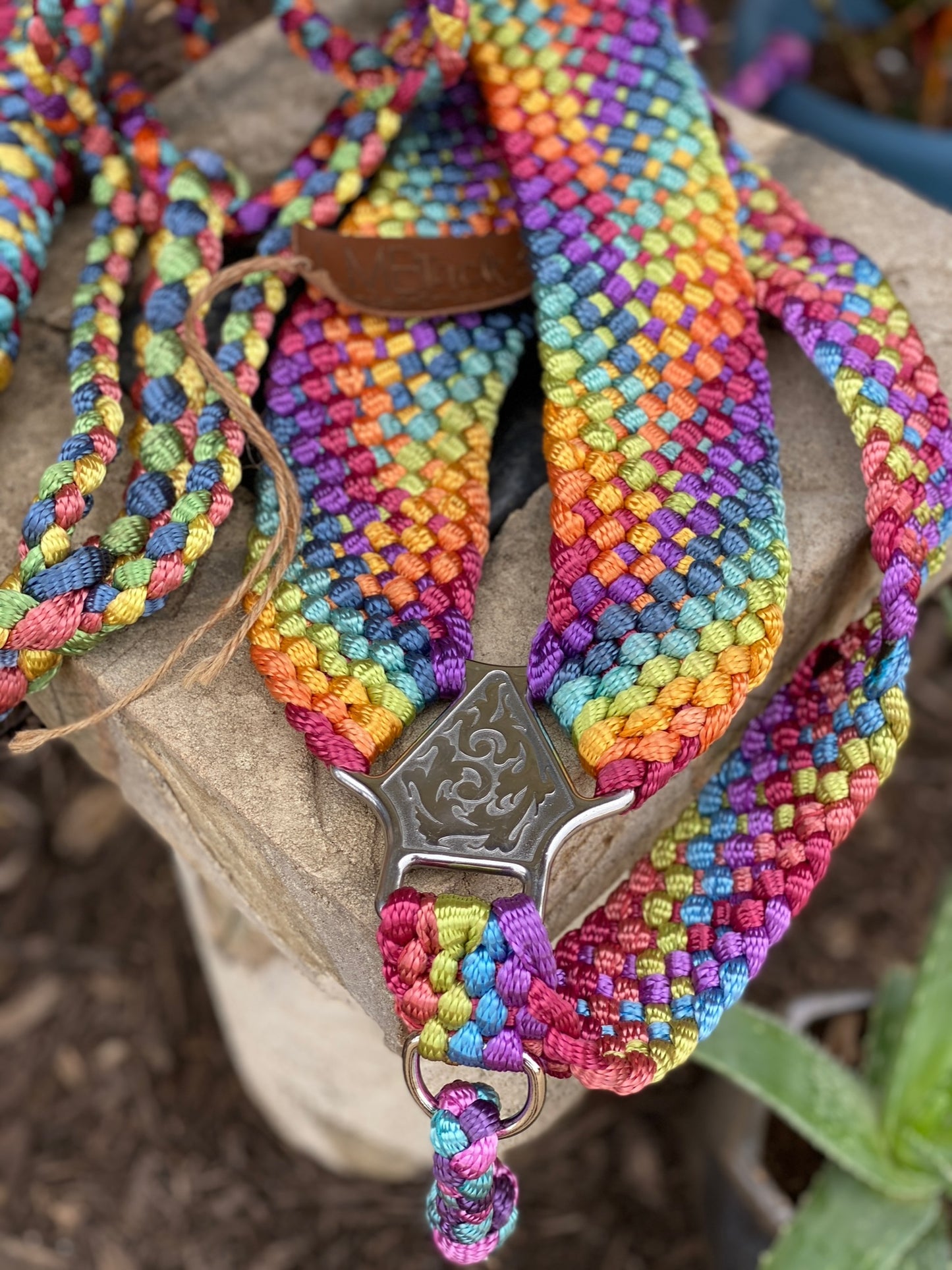 Rainbow Breast Collar