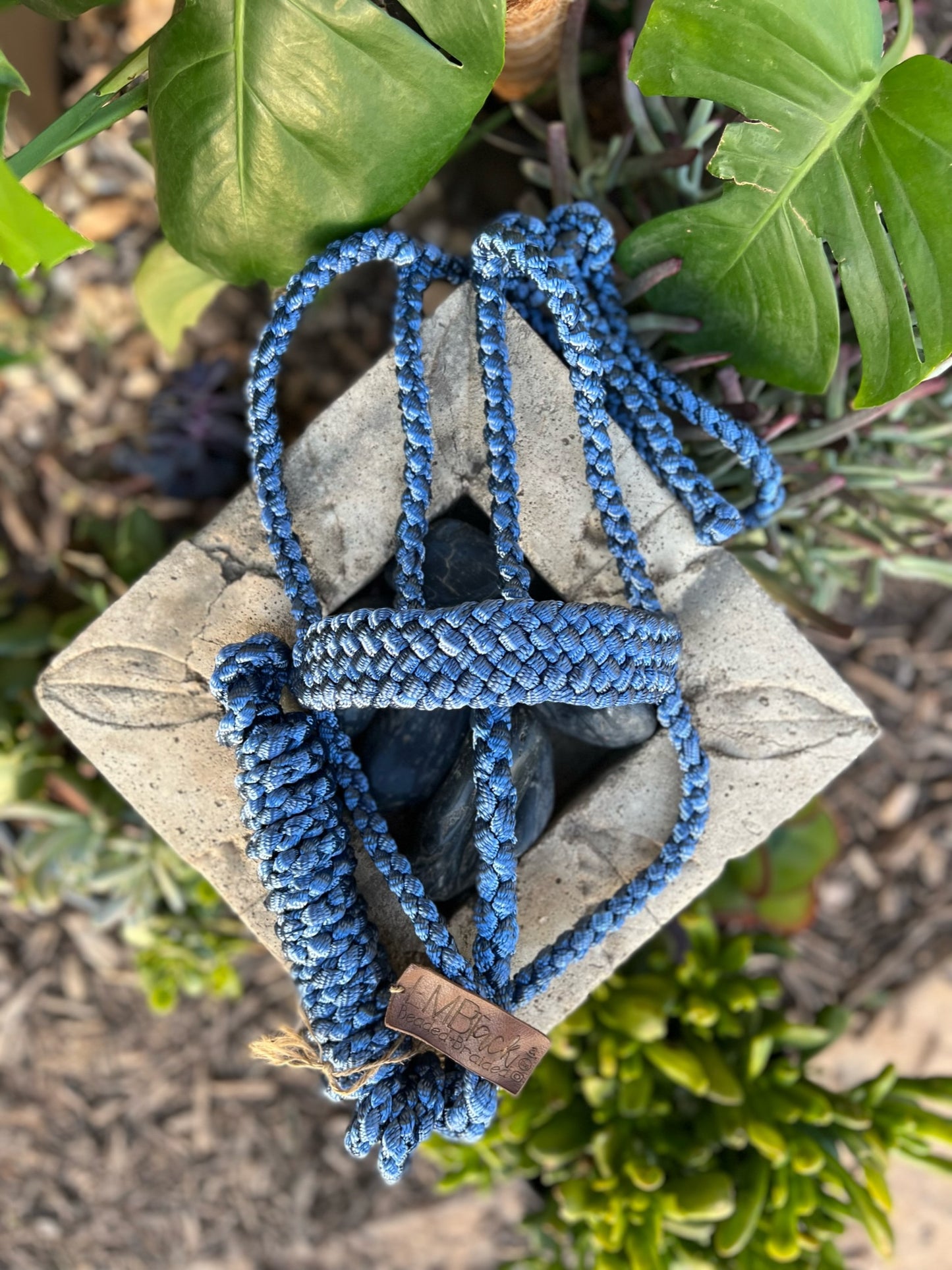 One Color MuleTape Halter + Lead