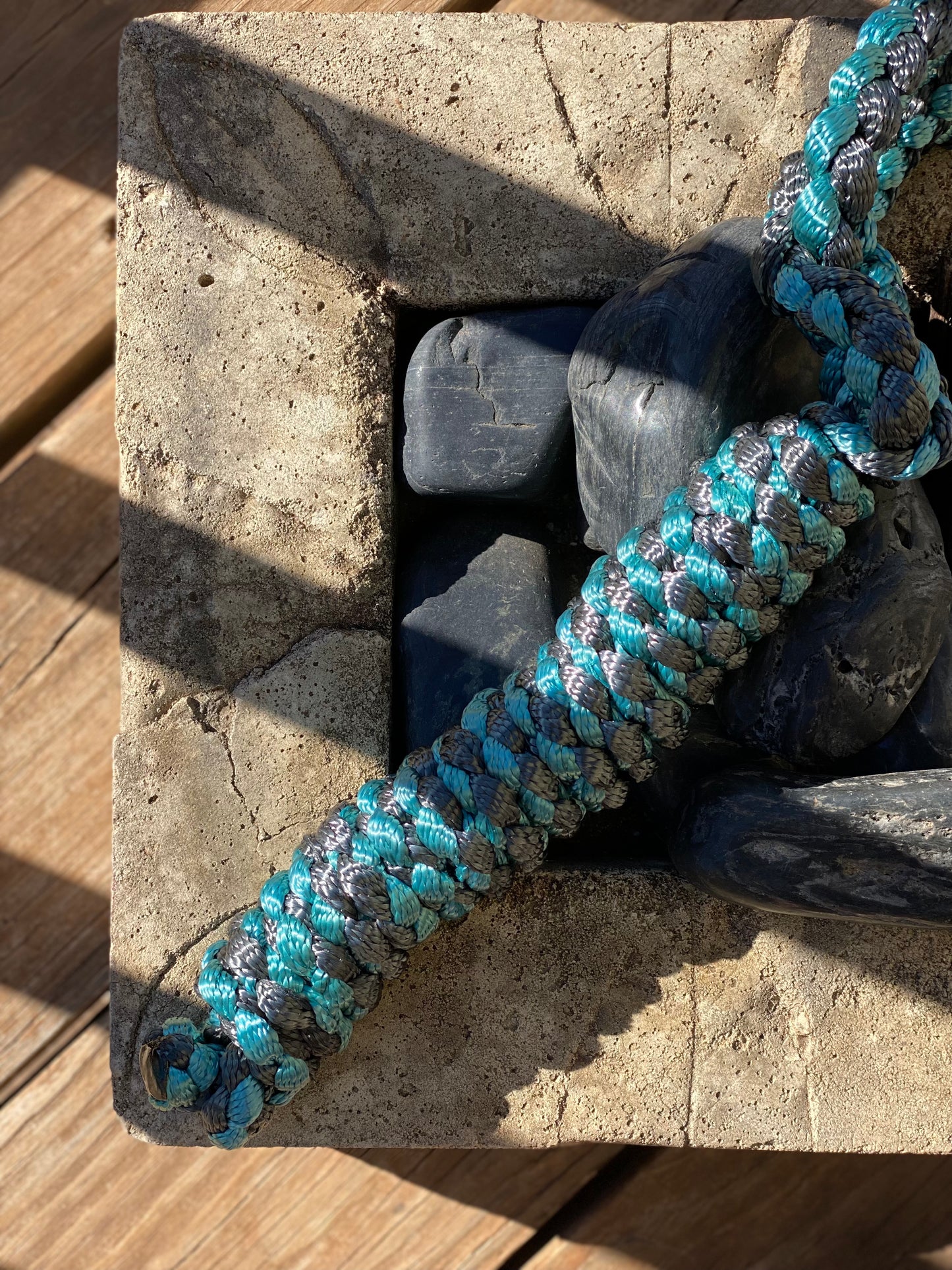 Just A Lead Rope!