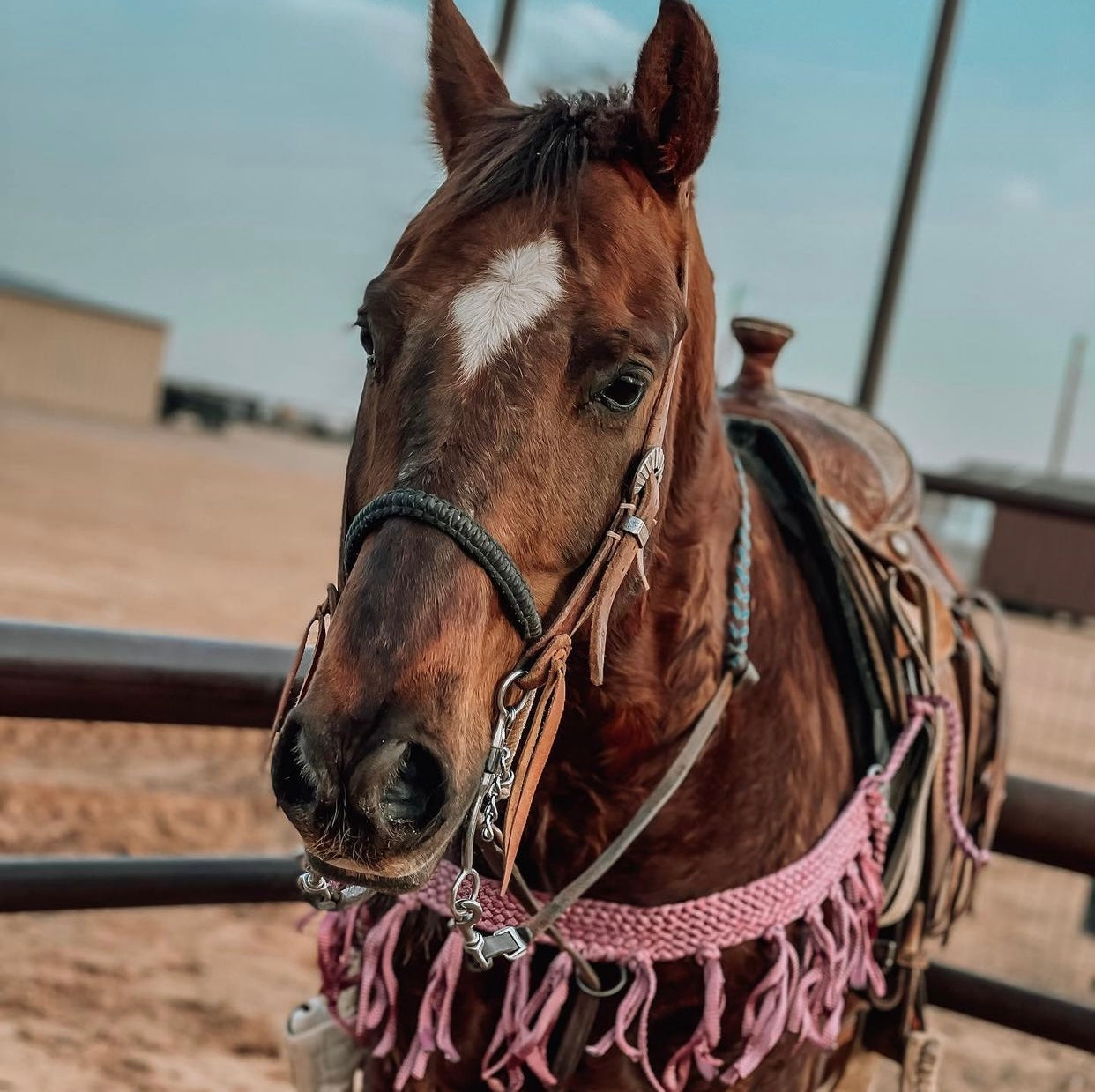 LMBTack Braided Breast Collar