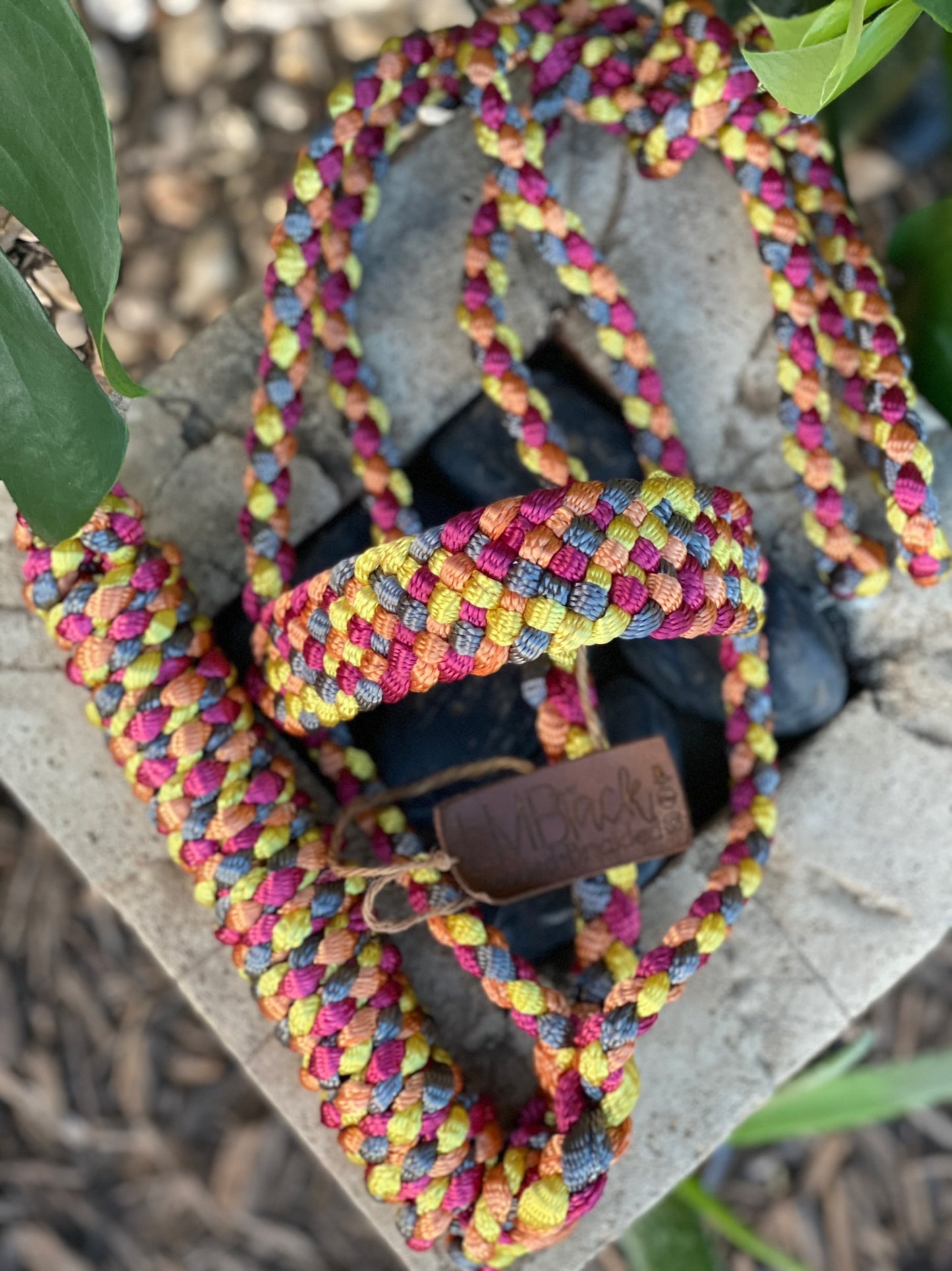 Four Color MuleTape Halter + Lead