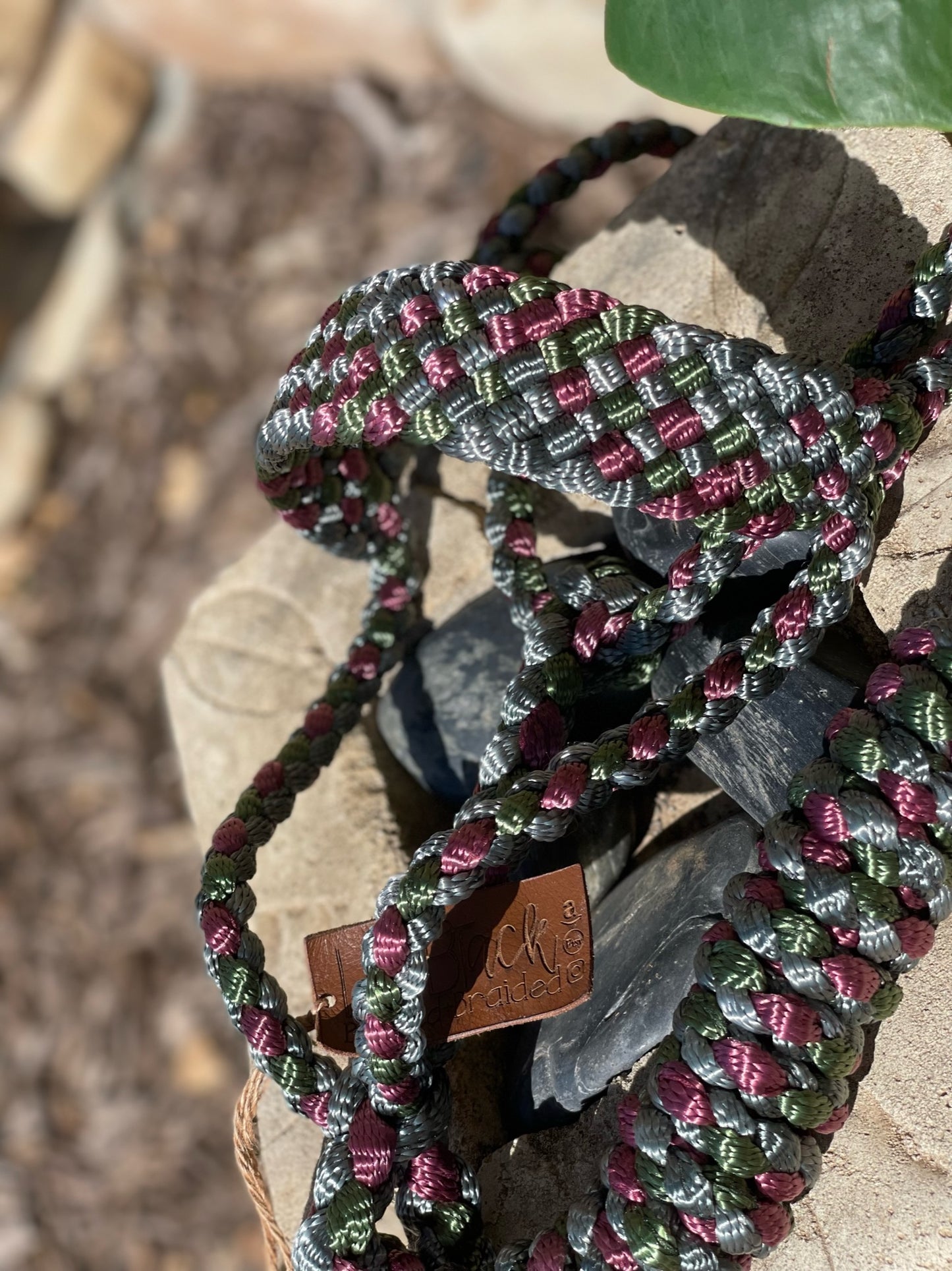 Three Color MuleTape Halter + Lead