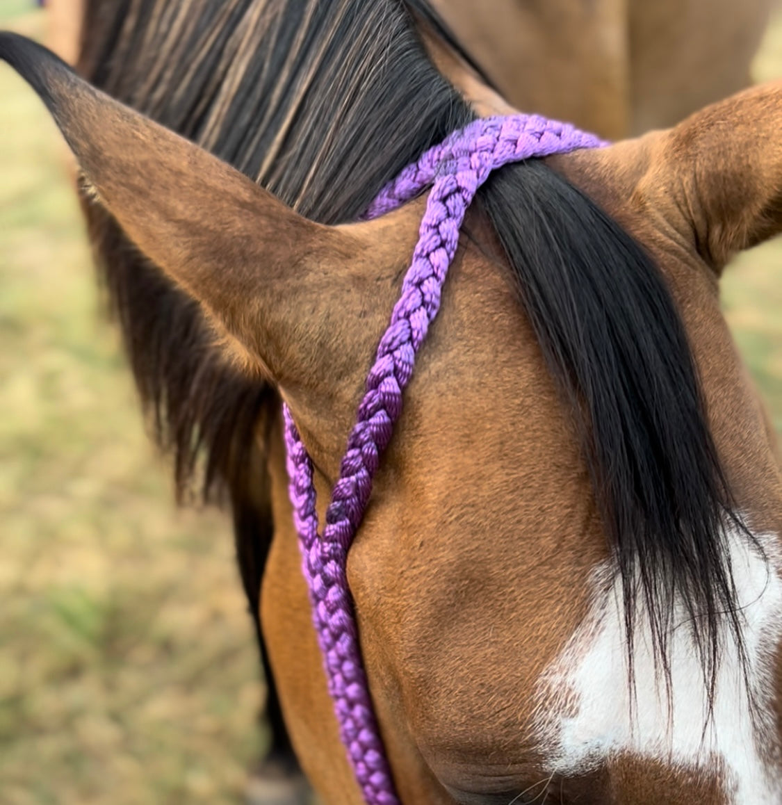 Quick Change Split Ear Muletape Headstall