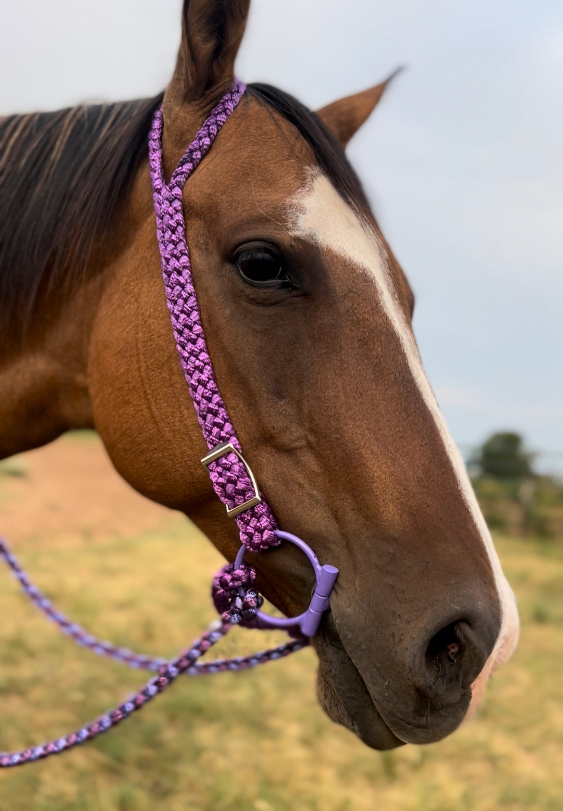 Quick Change Split Ear Muletape Headstall